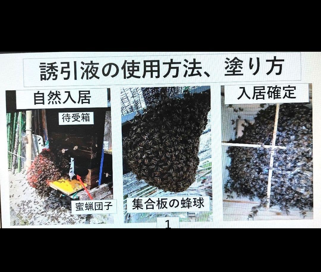 日本蜜蜂 誘引液 約500ml☆蜜蝋約100g☆巣屑約100g☆説明書付4 - メルカリ