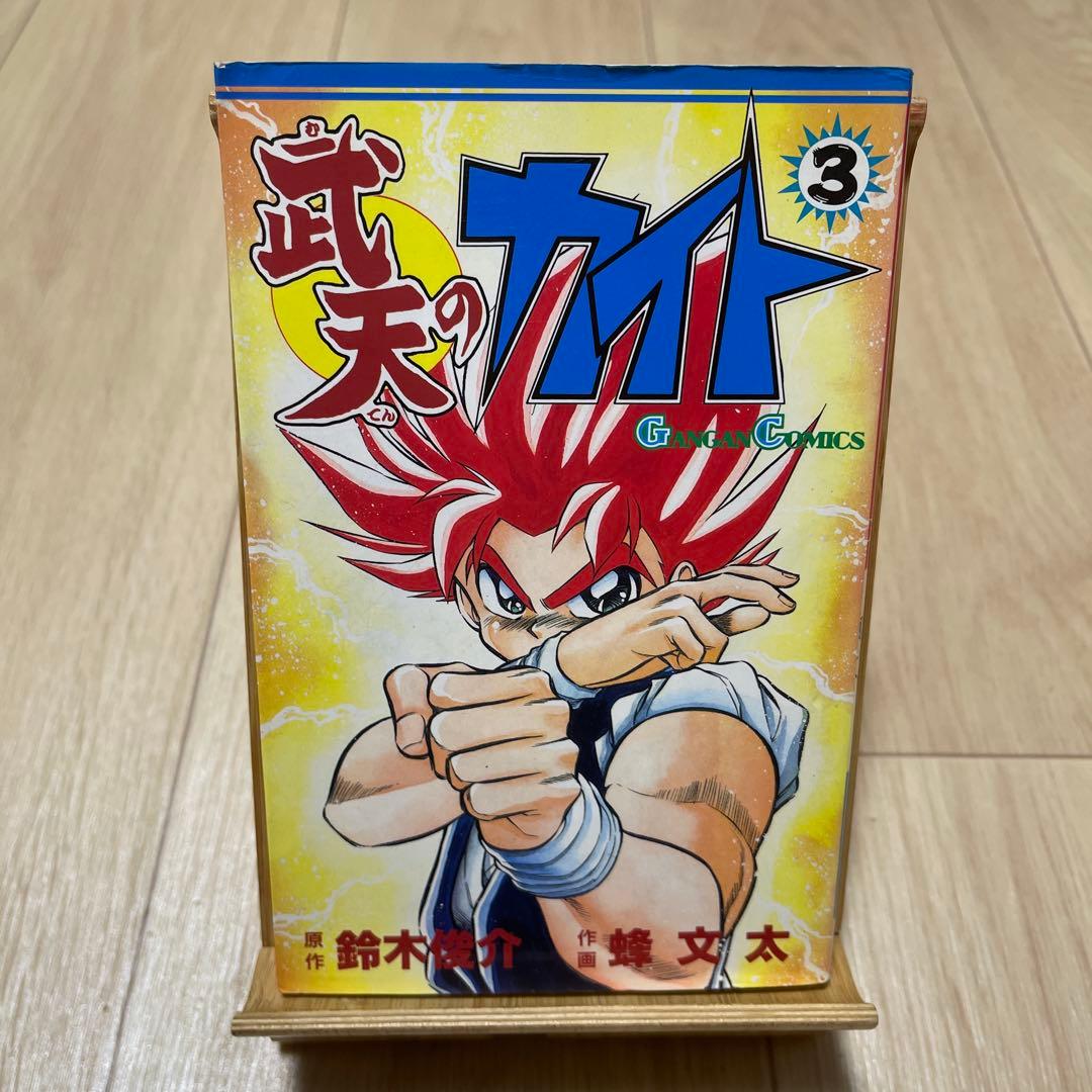 武天のカイト 3巻 - メルカリ