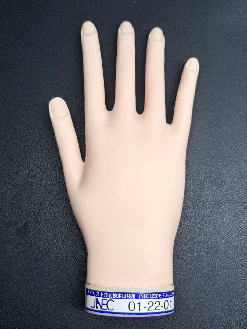 シリコン ネイル ハンドくん 検定用ハンド 練習用手モデル - ジェル