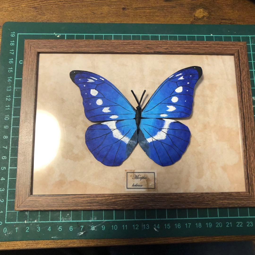 ヘレナモルフォ蝶 フェイク蝶標本 アンティーク風 - メルカリ