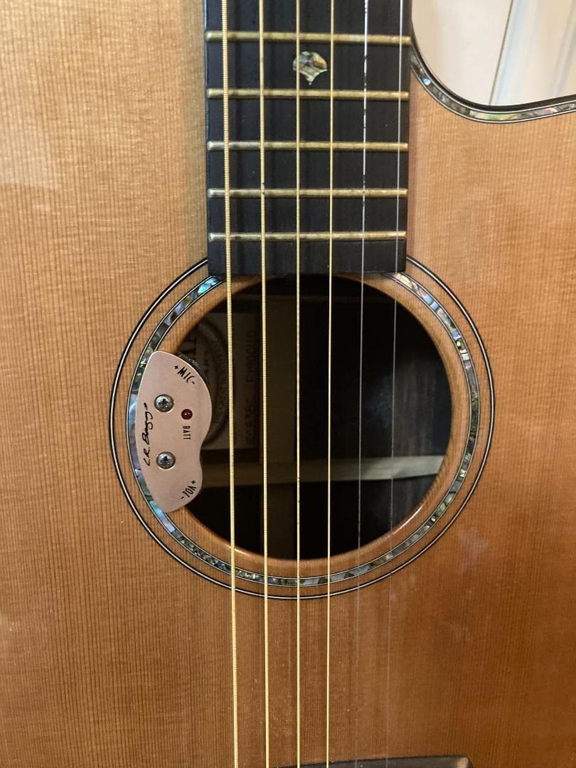 TACOMA ECR38C L.R.Baggs Dual Source　Char