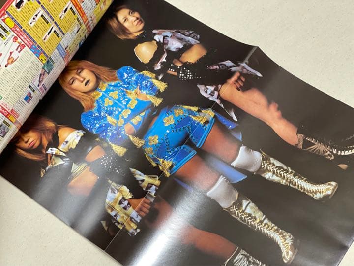 女子プロレススーパーカタログ2002