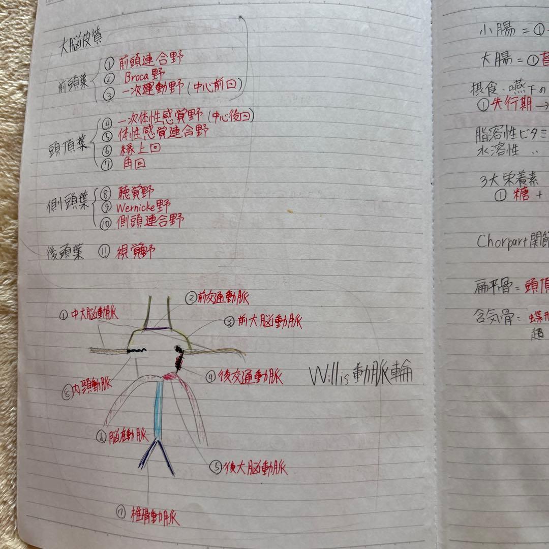作業療法士 国家試験 勉強ノート - メルカリ