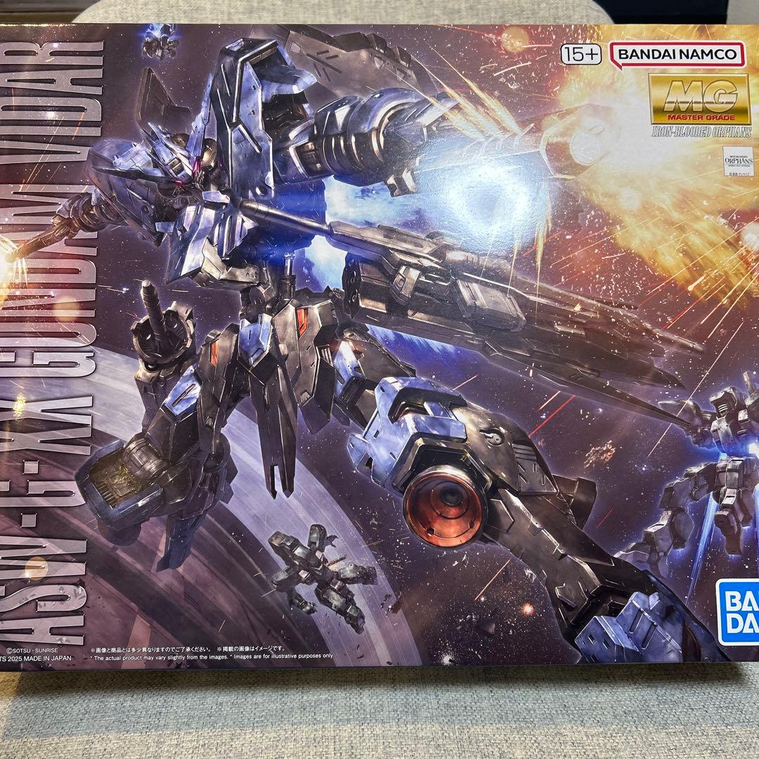 ガンプラまとめ売りMGヴィダール HG ズゴック(SEED) 2体セット