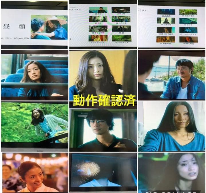 送料無料】昼顔 TVシリーズ & 劇場版 DVD 全巻セット 上戸彩 斎藤工