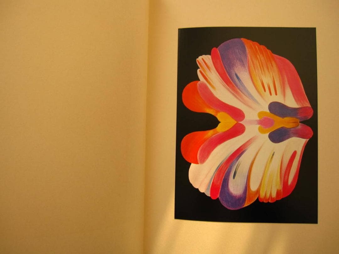 絵次元　谷川晃一　展翅箱　200部限定　肉筆画 一葉付き 直筆サイン　澁澤龍彦