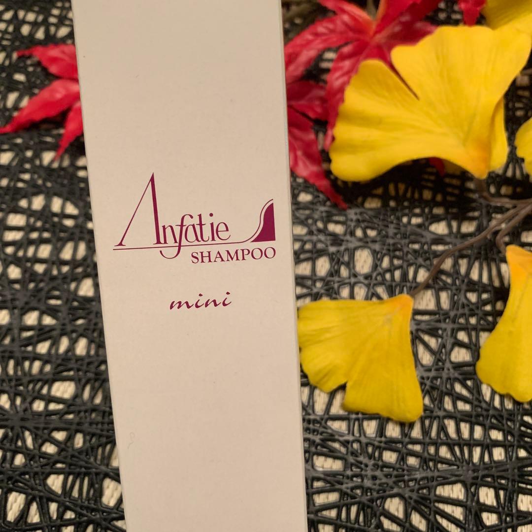 あと2本で終了❣️アンファティ シャンプーNA ミニ 2本旧 - メルカリ