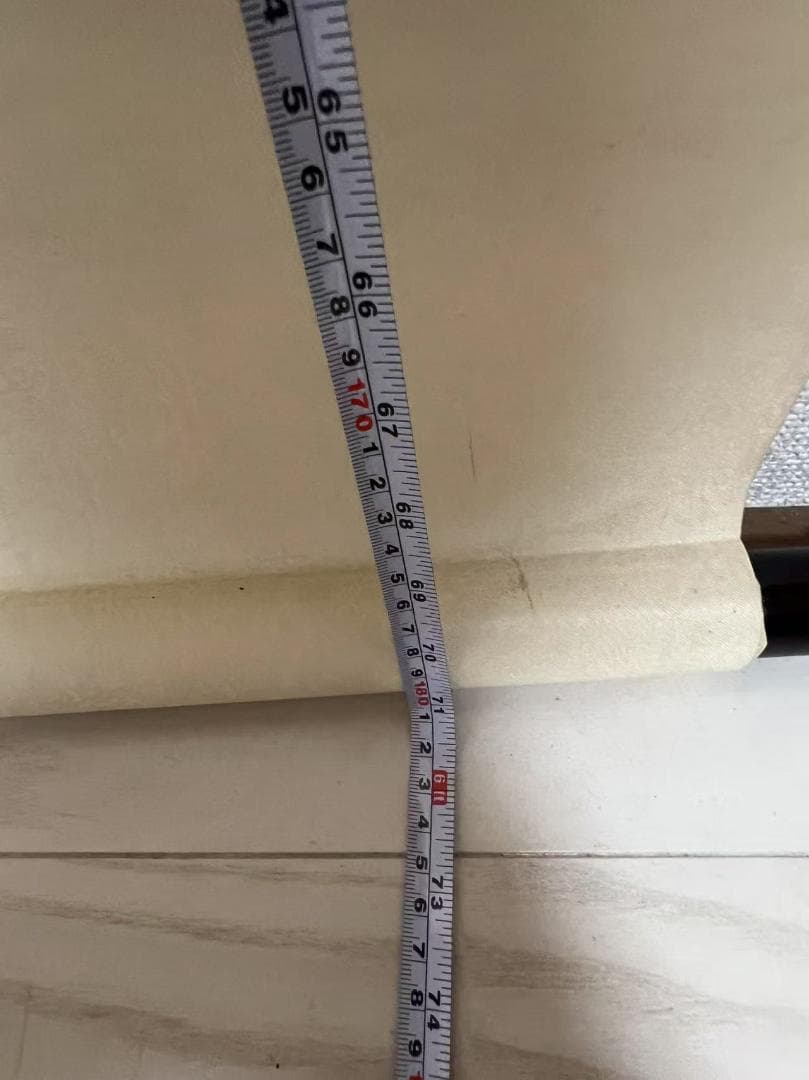 田中 野夫専用 水墨肉筆 錦鶏花葉太湖石図 南田沈銓 掛軸 中国美術(Y