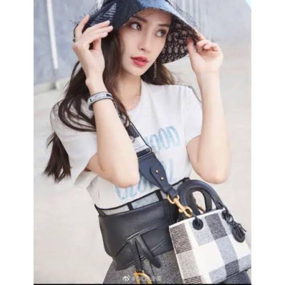 DIOR サドルベルト - メルカリ