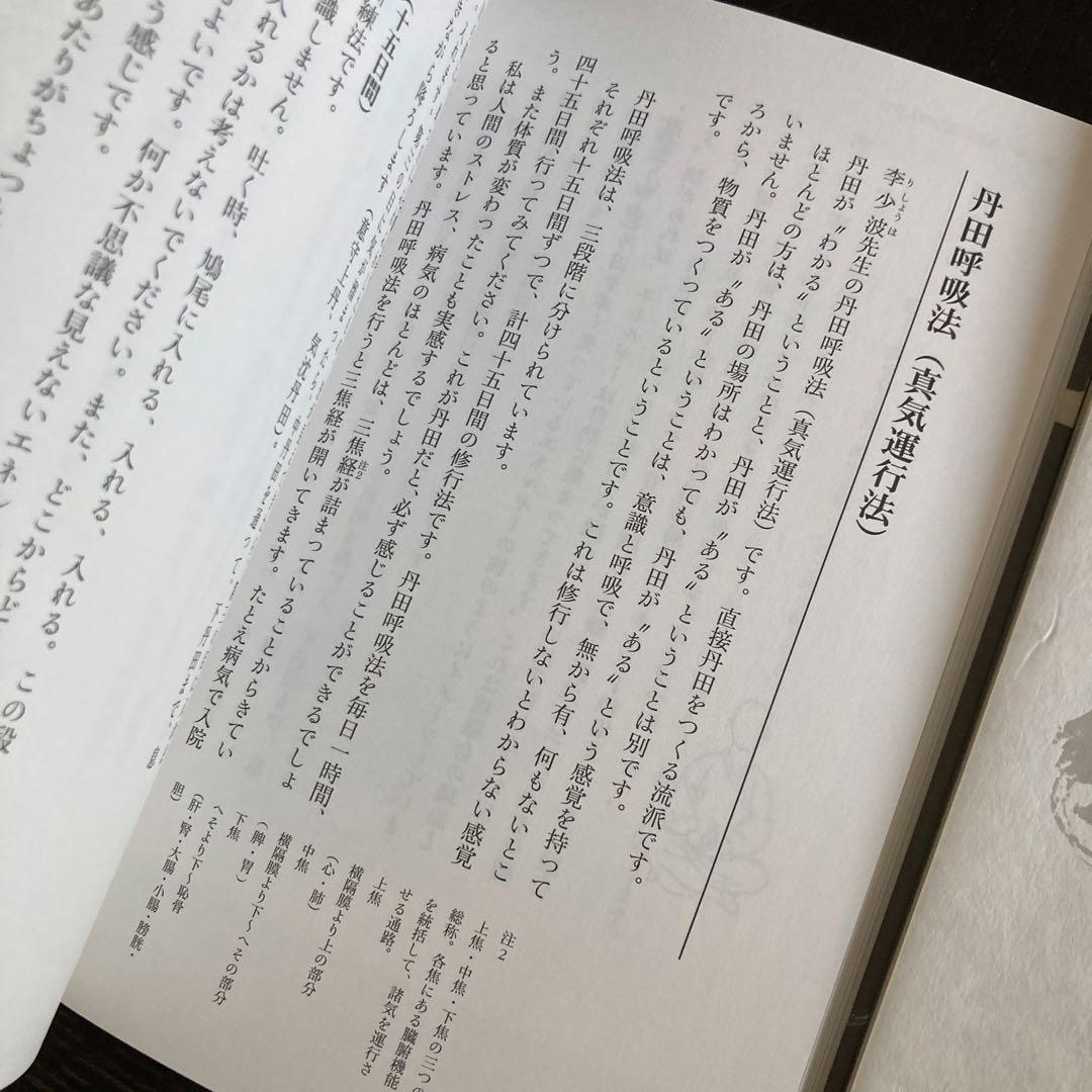 【セット】秘伝奥義集大成 + 気功奥義解説書　盛鶴延