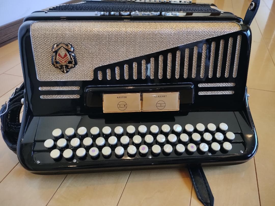 ⭐︎イタリア製⭐︎SCANDALLI ボタン式アコーディオン ソフトケース付