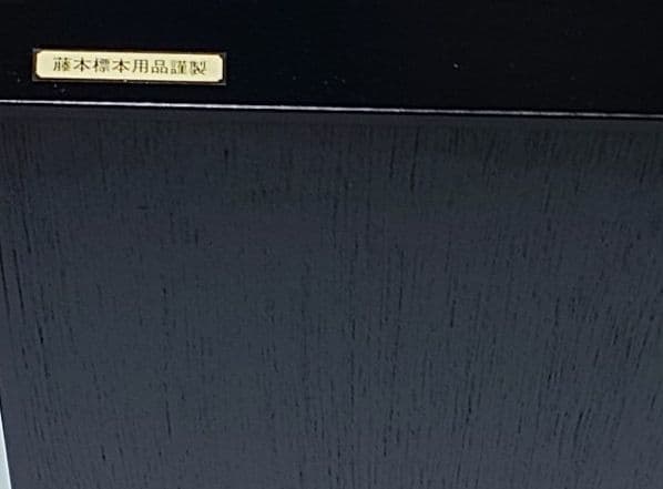 f*t様 藤本標本用品謹製 | 激安通販のイーサプライ