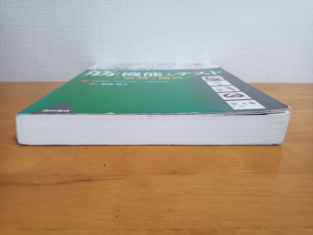 ケンダル 筋・機能とテスト -姿勢と痛み-