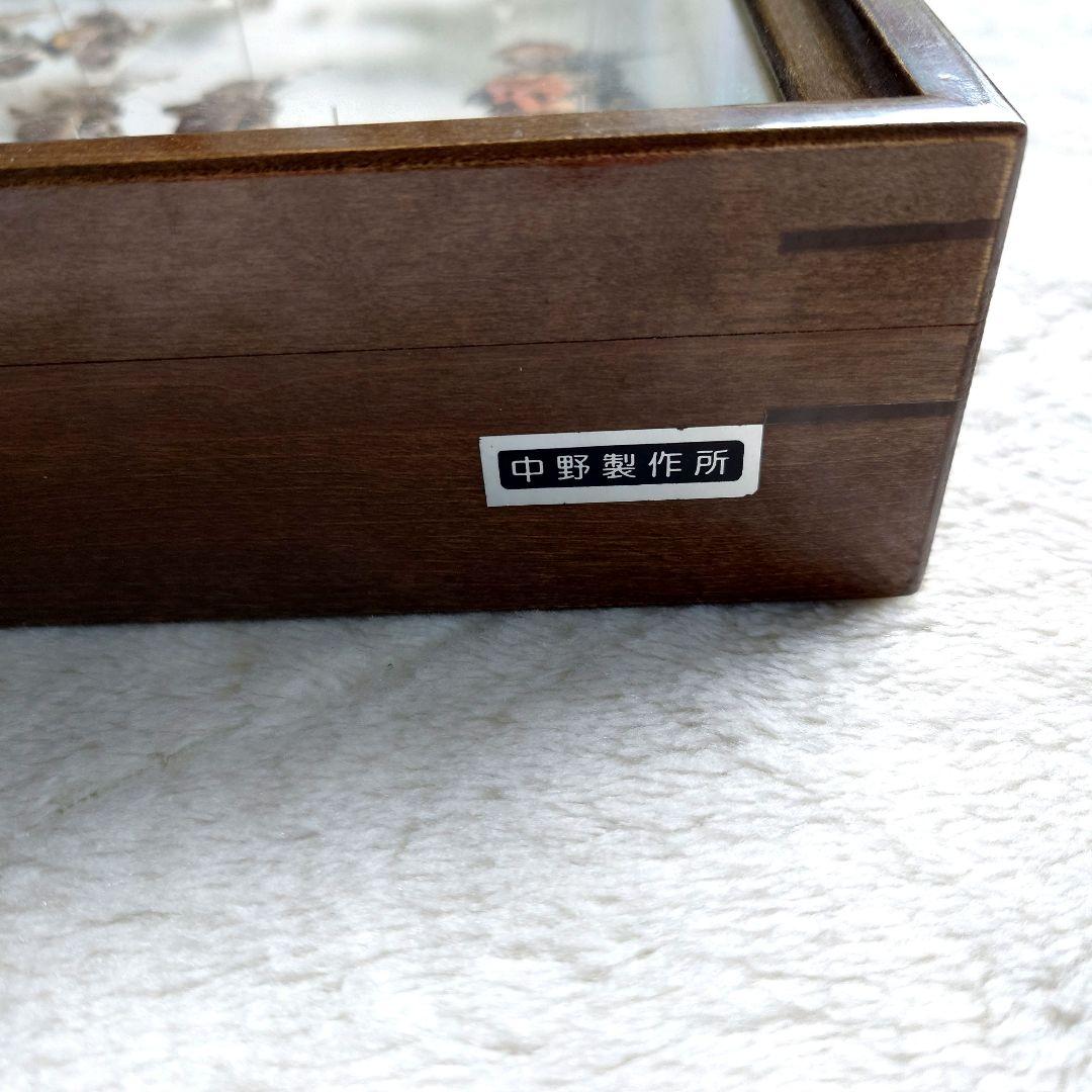 中古 標本箱 大型ドイツ箱 中野製作所 木製 ガラス ドイツ型箱 - メルカリ