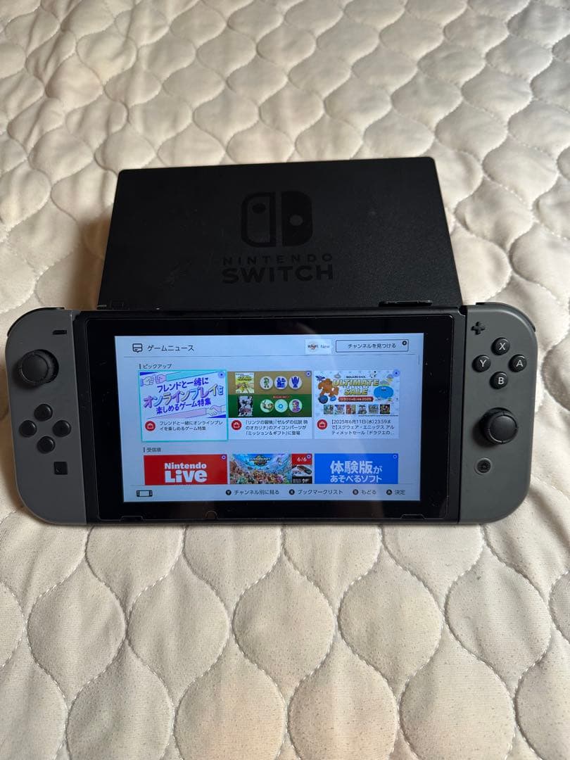 Nintendo Switch 本体 グレー 付属品完備 ケース付き - メルカリ