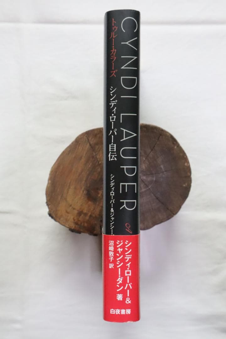 トゥルー・カラーズ シンディ・ローパー自伝 ジャンシー・ダン著 沼崎