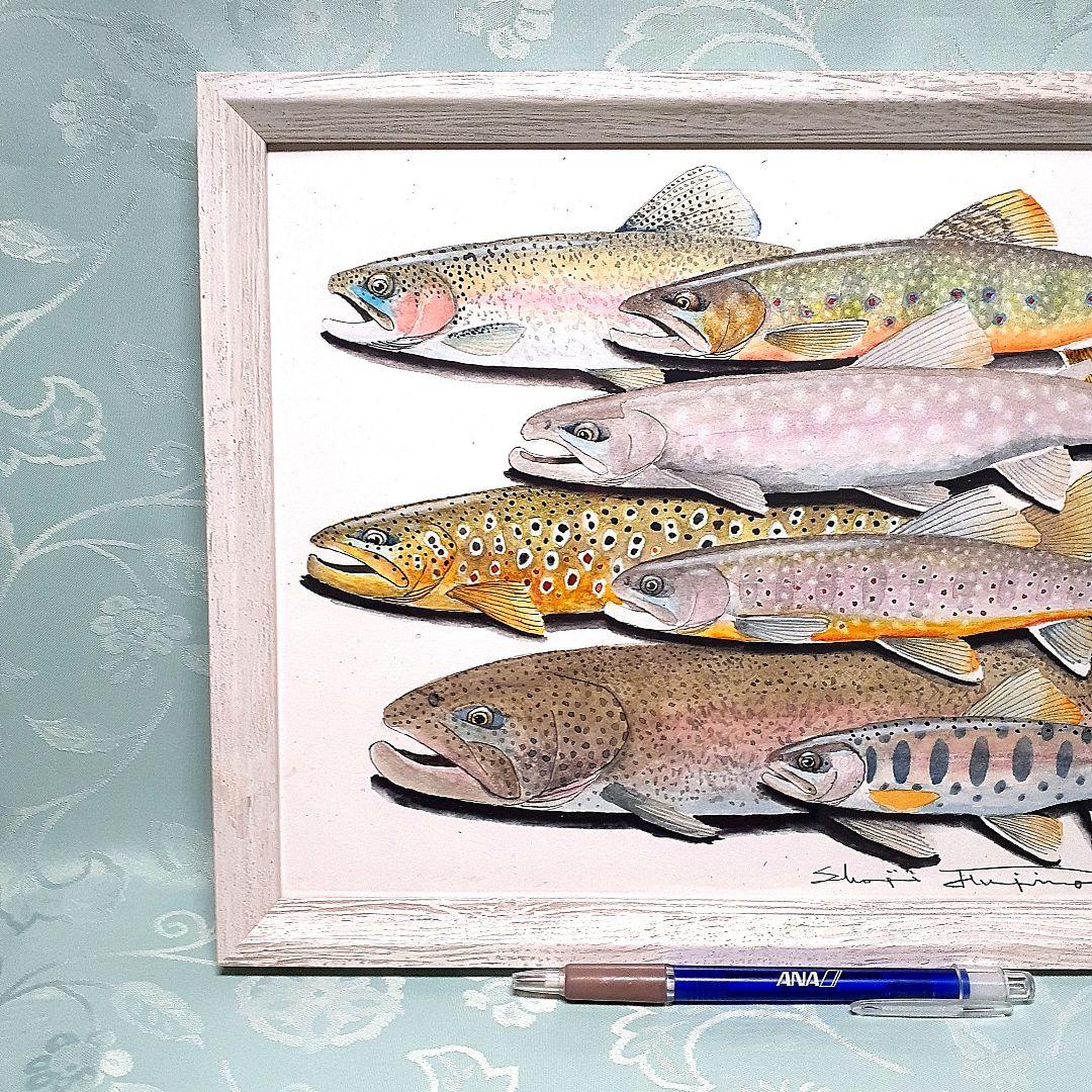 北海道の渓流に住む魚透明水彩画北海道の渓流に住む魚透明水彩画