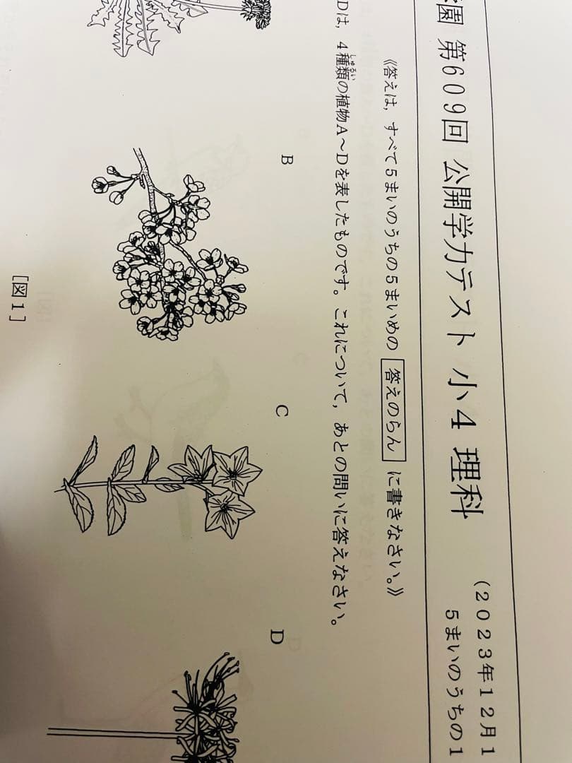 浜学園 小4 2023年度 公開学力テスト 4教科 おまけ付y