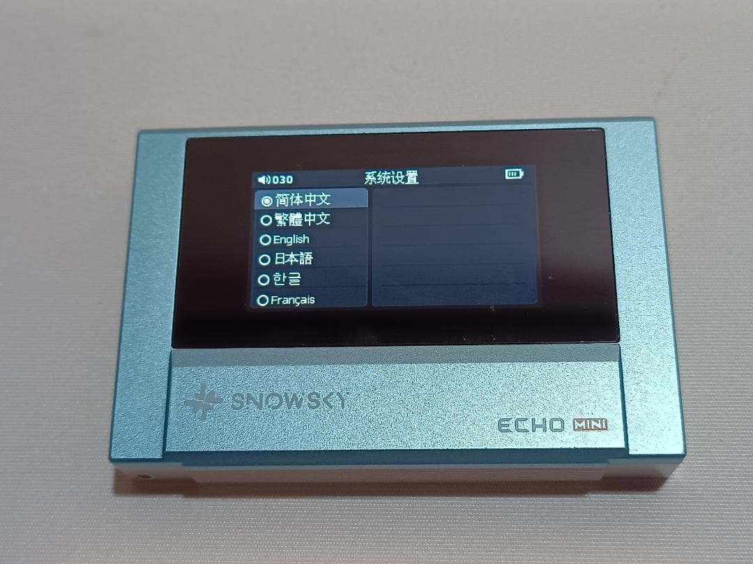 FIIO Snowsky ECHO MINI 皮ケース付き DAP - メルカリ