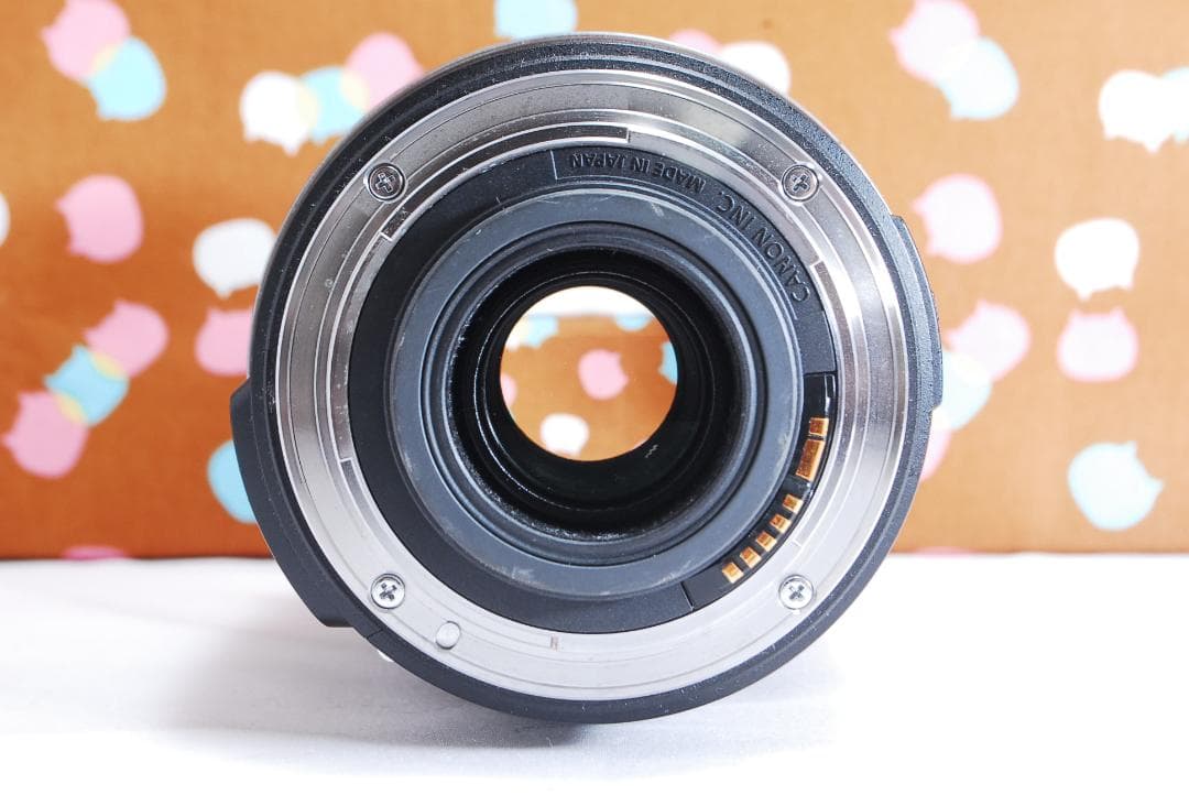 ✨美品✨万能✨Canon EF-S 18-200mm F3.5-5.6 IS