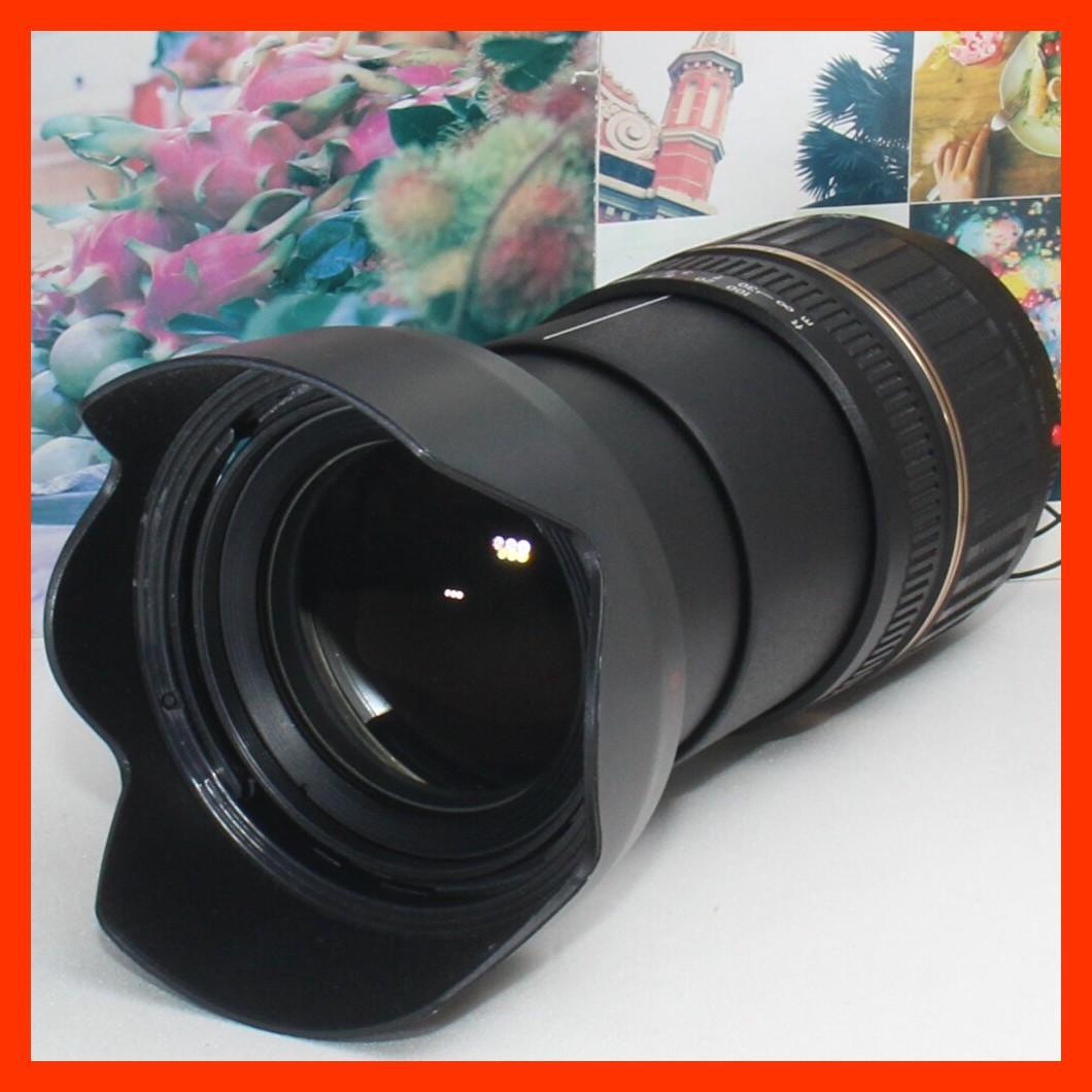❤️1本で近遠対応の神レンズ❤️タムロン 18-200mm ソニーaマウント