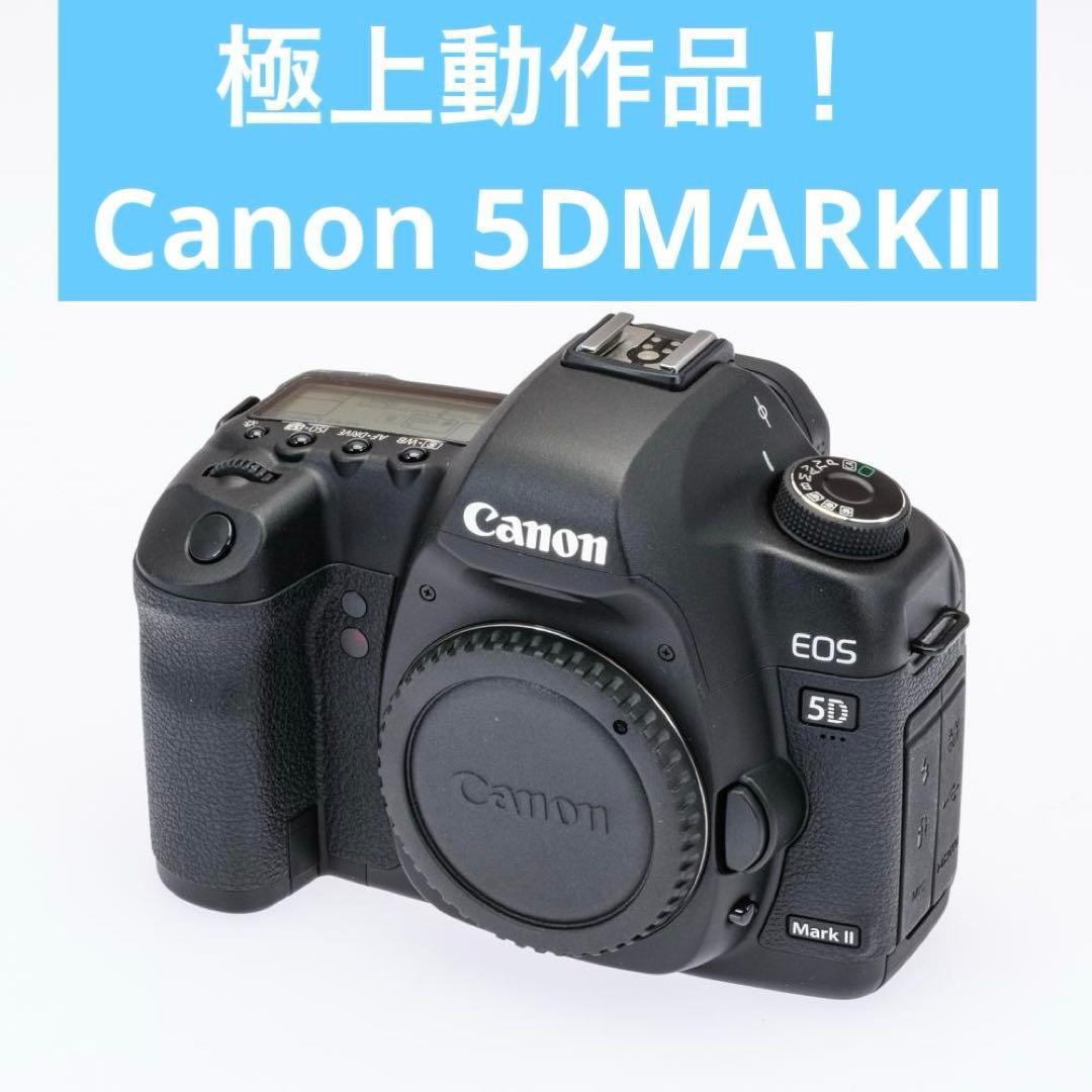 激レア！ショット数僅か734 極上動作品！ Canon 5DMARKⅡ付属品多数
