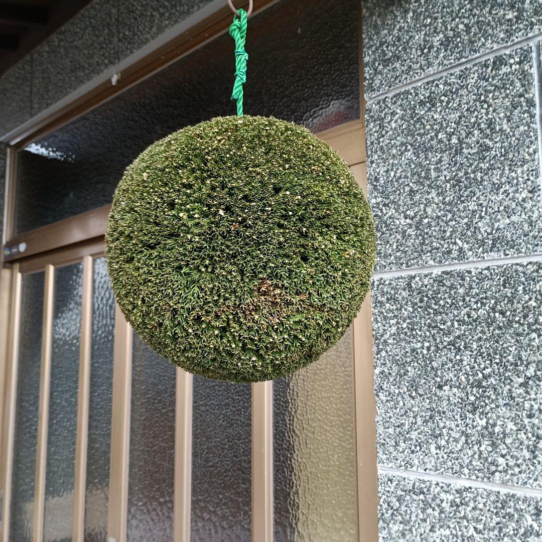 杉玉 直径約29cm 屋根なし - メルカリ