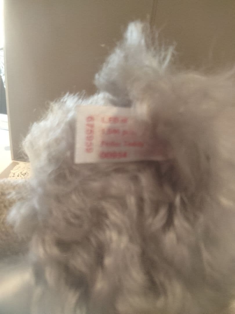 ドイツ シュタイフ とフェイラー テディベア コラボです。00954/1500