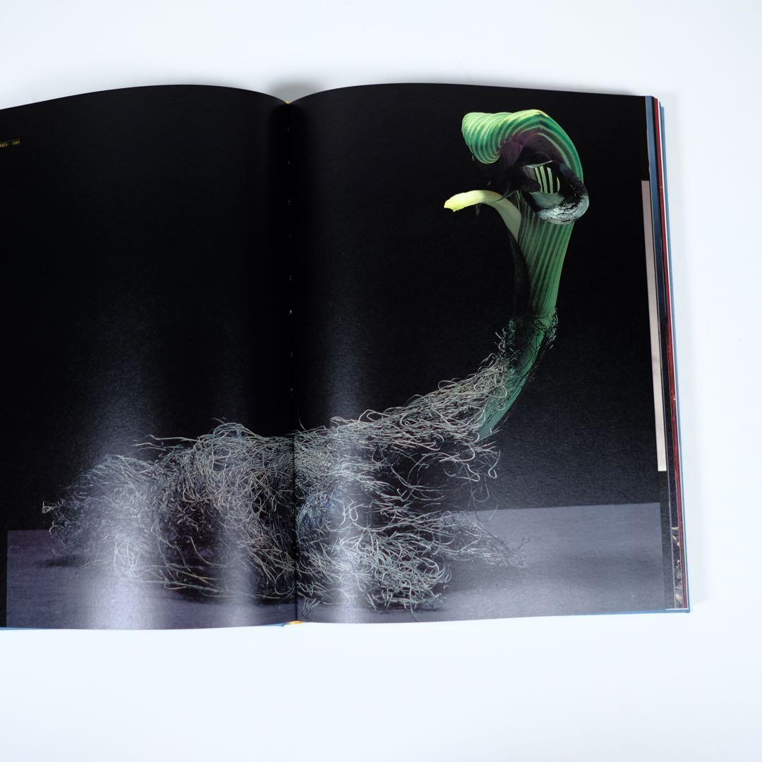 魔の山】中川幸夫 作品集 求龍堂 写真集 花道 極希少本 稀覯本 - メルカリ