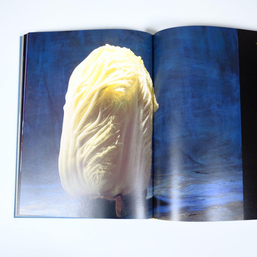 魔の山】中川幸夫 作品集 求龍堂 写真集 花道 極希少本 稀覯本 - メルカリ