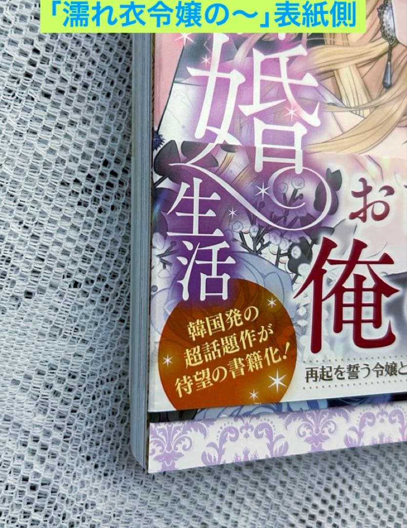 「濡れ衣令嬢のやり直し結婚生活」