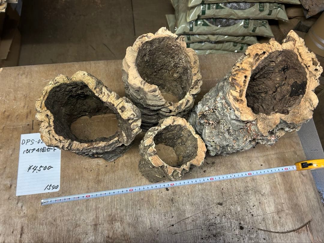 ポルトガル産コルク樹皮4点0220-4 M - メルカリ