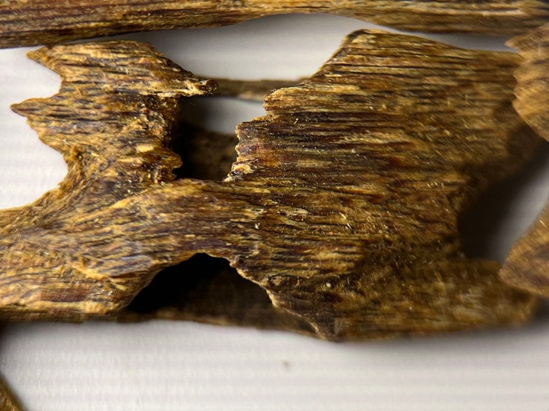 お香 天然沈香 六国五味聞香用 伽羅 香木 3ーSー10.524