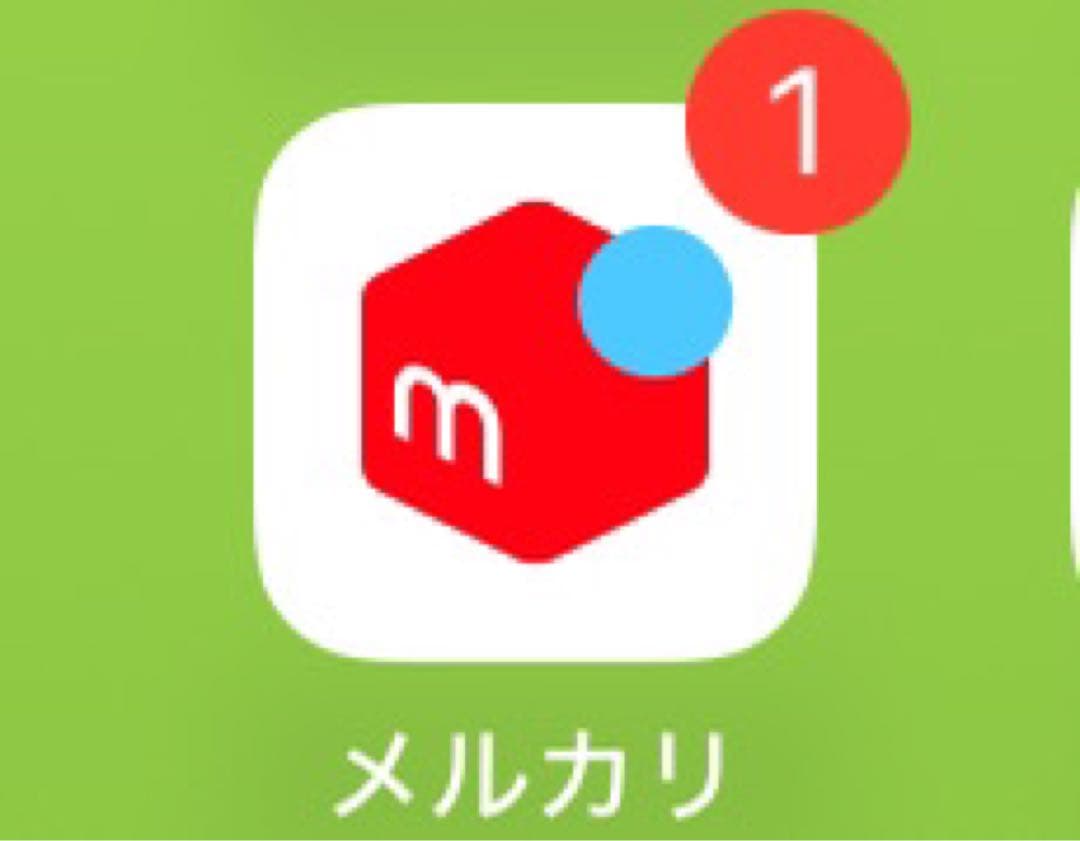 竹田さま専用 ピンク】フェイスブラシ 23OV D37 EXS（山羊毛100％） | 竹田ブラシ製作所