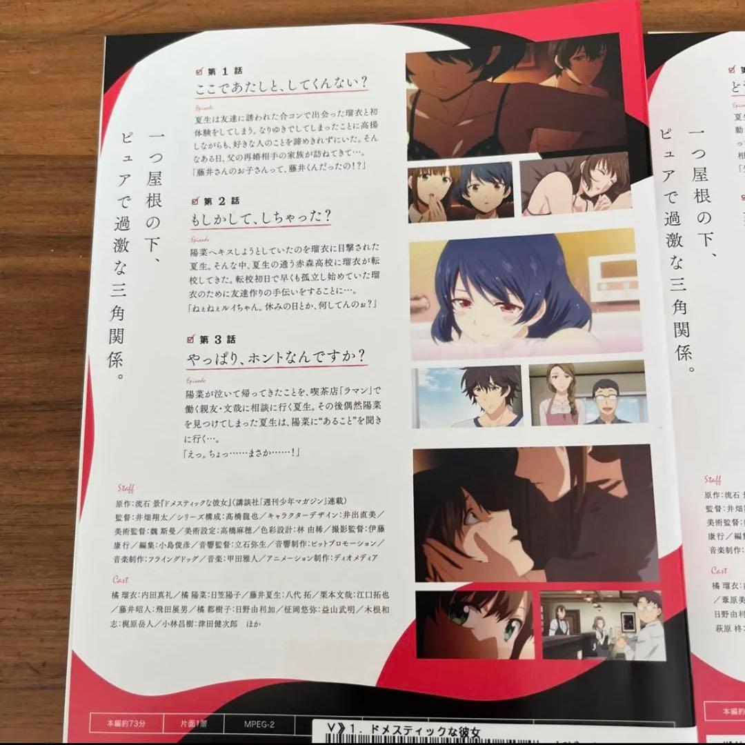 ドメスティックな彼女　DVD 全4巻　全巻セット