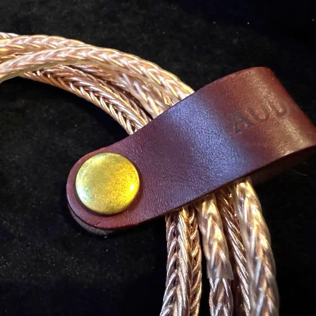 オーディオみじんこ Nocturne Vivid 4.4mm 2pin