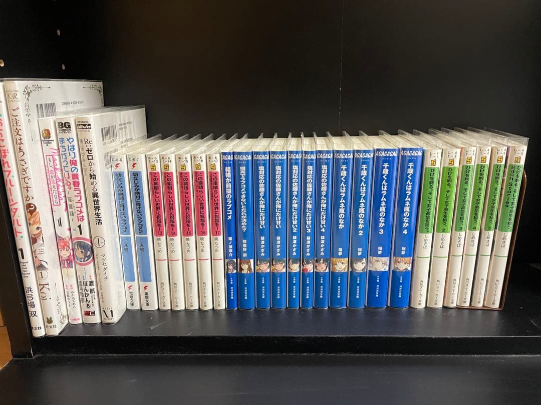 マンガ81冊+ラノベ24冊（計105冊）