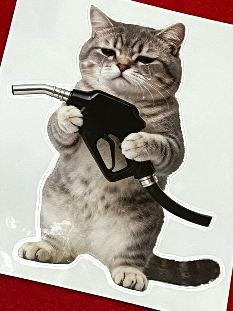 リアル猫(=^x^=)❣️ステッカー➇ - メルカリ