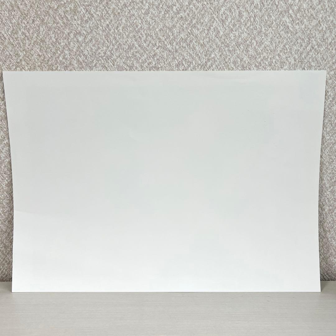 暁のヨナ 複製原画 花とゆめ 100名当選品 抽選プレゼント ALL STAR