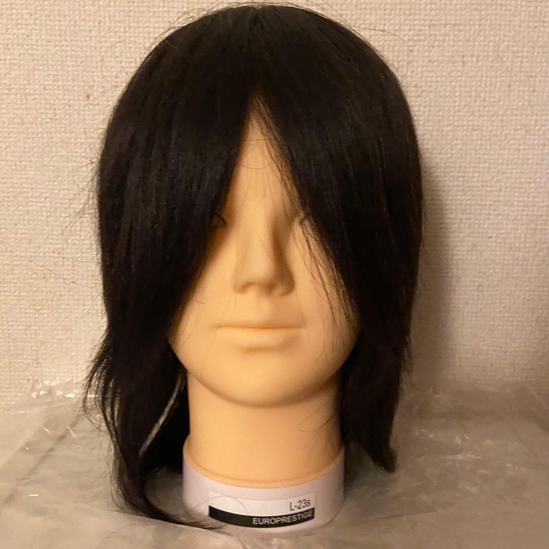 国家資格試験用カットウィッグ19体 国家資格試験用カットウィッグ19体 国家資格試験用カットウィッグ19体