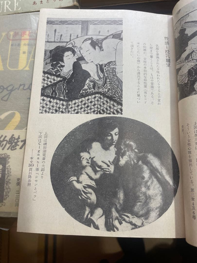 あるす・あまとりあ : 性交態位六十二型の分析