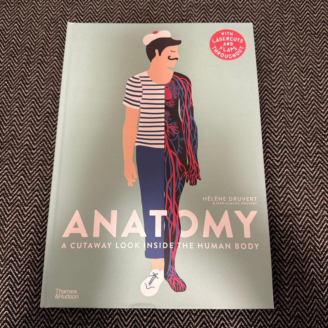 アート・デザイン・音楽 ANATOMY: A Cutaway Look Inside Anatomy: A Cutaway Look Inside the Human Body by Hélène Druvert