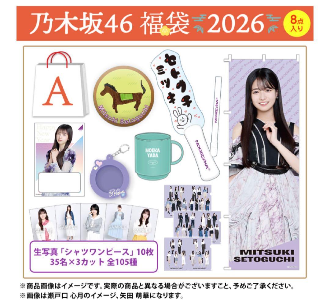 乃木坂46 池田瑛紗 lucky bag A グッズまとめ売り - メルカリ