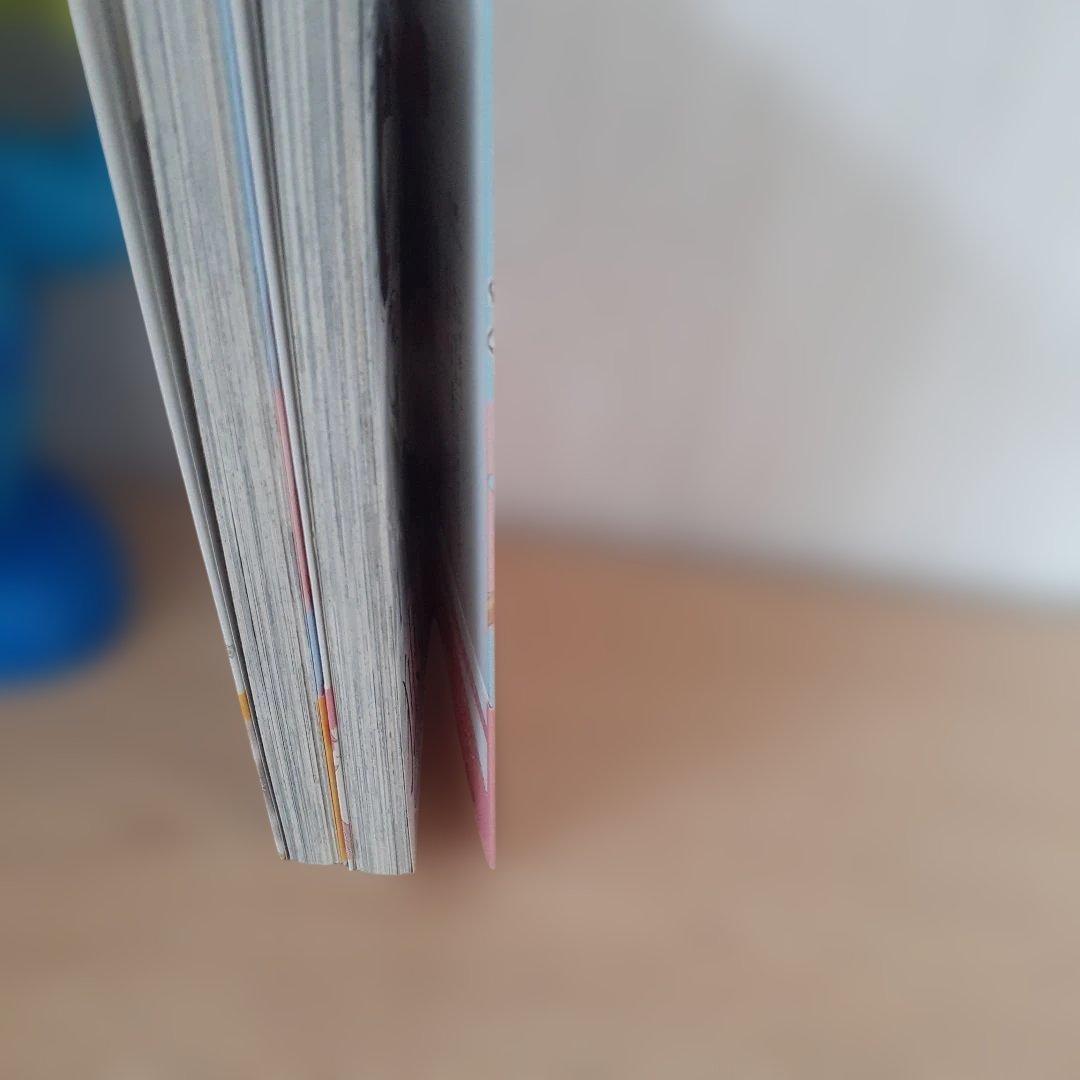 強引社長の過剰な独占愛 　全2巻