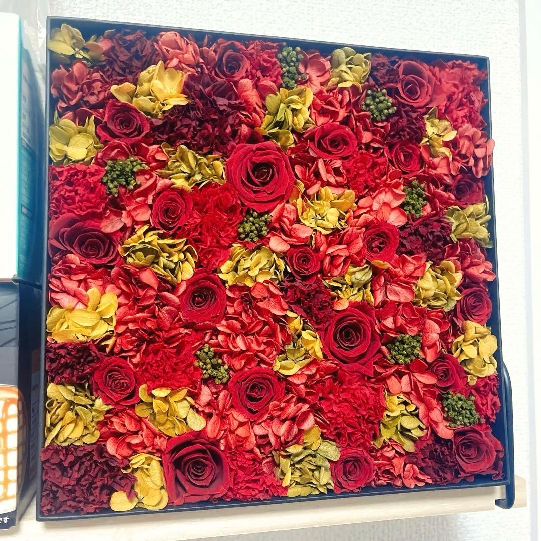 cosmopolitan ニコライバーグマン　フラワーボックス　large Cosmopolitan（コスモポリタン）