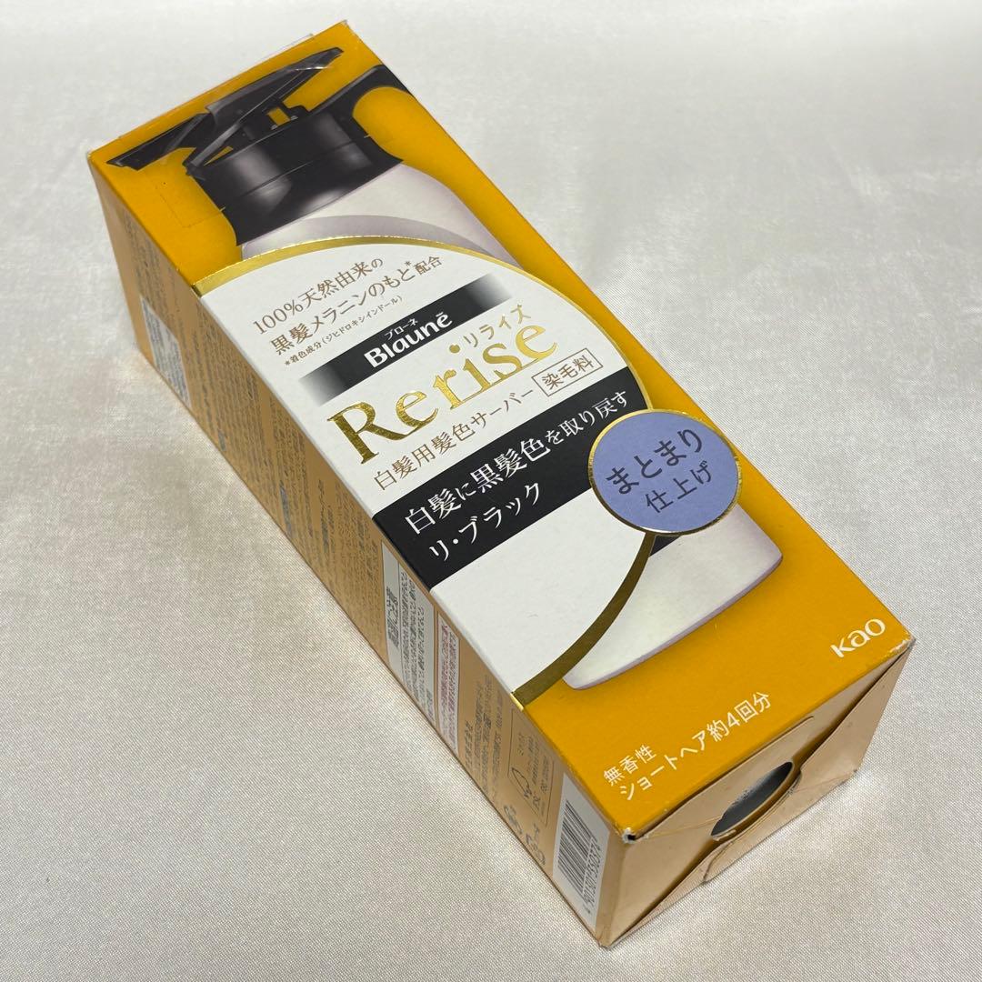 ブローネ リライズ 白髪用髪色サーバー リ・ブラック まとまり仕上げ