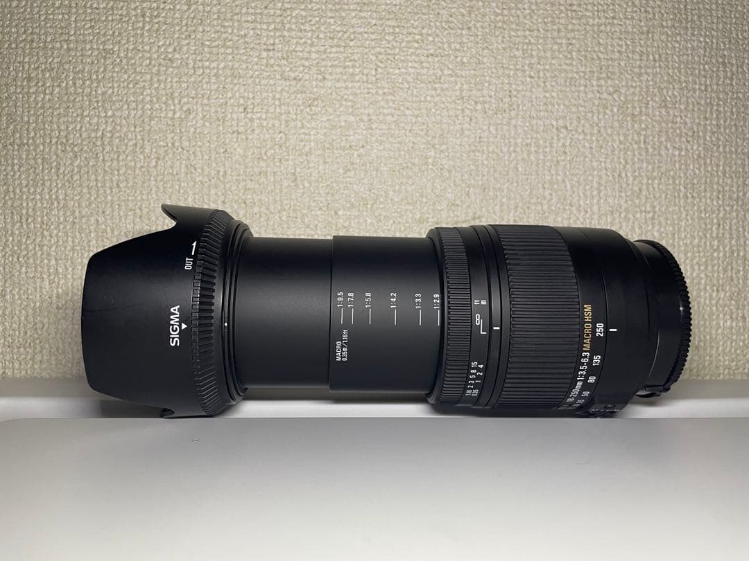【美品】SIGMA 18-250mm F3.5-6.3 DC MACRO HSM