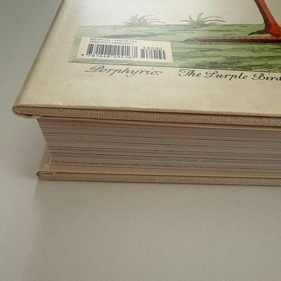 【最終お値下げ10/5本日までの特価です】ジョンデリアン ピクチャーブックII