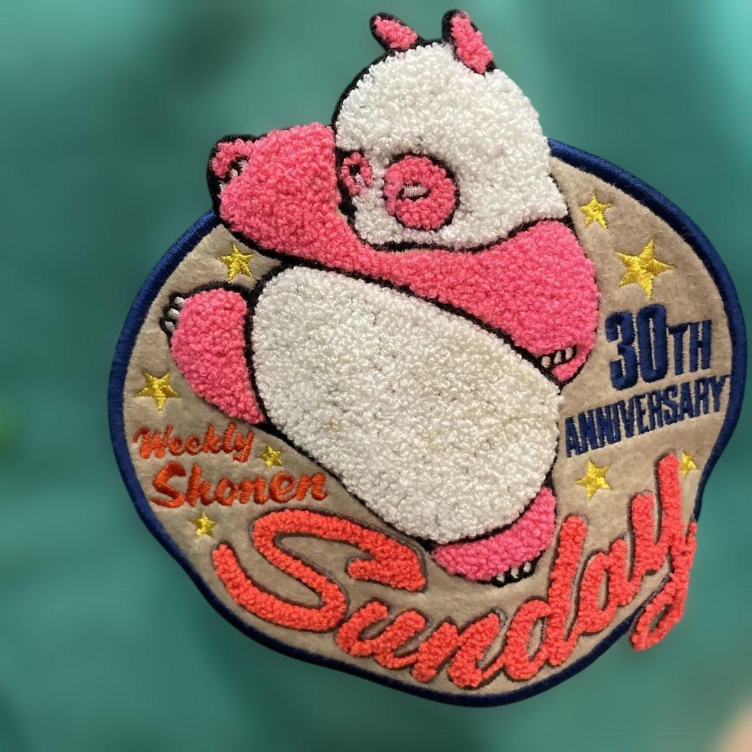 レア】らんま1/2 スタジャン 少年サンデー30周年