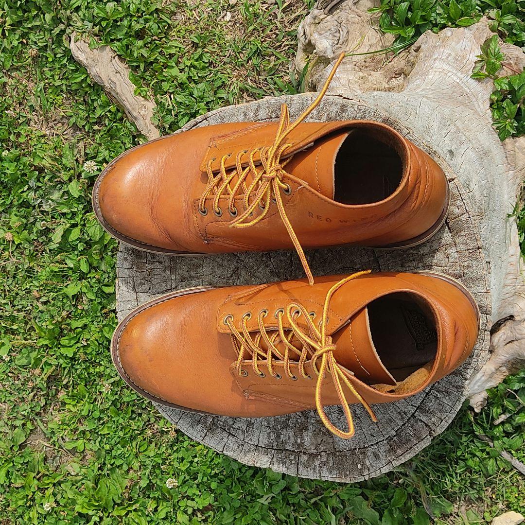 REDWING 9871 アイリッシュセッター ゴールドラセット セコイア - メルカリ